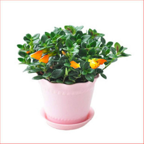 ��������ж�����Է�������  ����������ڼ�����Щ�ô��أ�