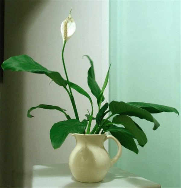 һ˳Ļô£һ˳ĻԭΪ