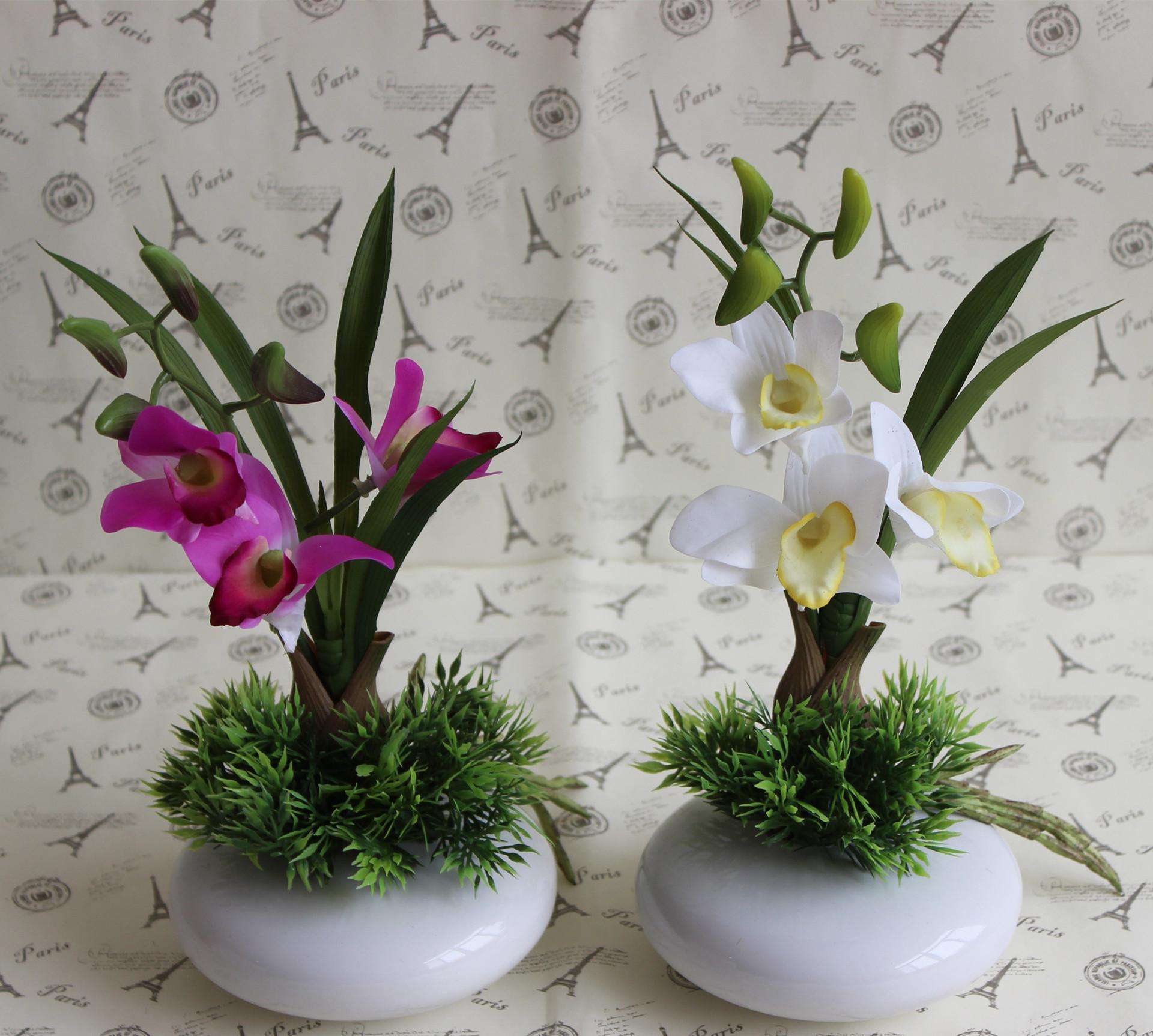 石斛兰开过花老枝怎么办如何修剪 石斛修剪方法步骤图