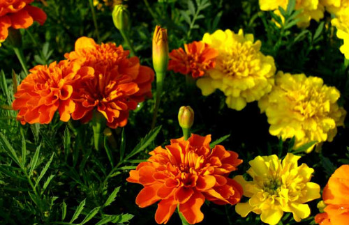 ���پ�ʲôʱ�򿪻� ���پղ�������ô����ν����������