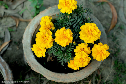 ���پ�ʲôʱ�򿪻� ���پղ�������ô����ν����������