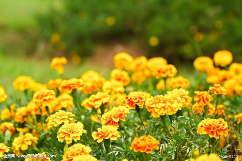 ���پ�ʲôʱ�򿪻� ���پղ�������ô����ν����������