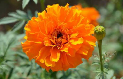 ���پ�ʲôʱ�򿪻� ���پղ�������ô����ν����������