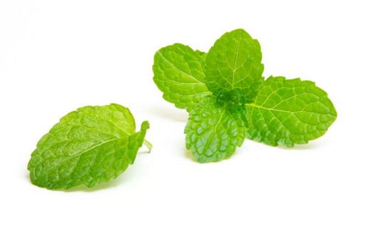  ������ˮ����ʲô�ô�  ���ɵĹ�Ч���������˽����