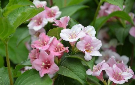 �����������辰�� ���Խ���������ֳ��������������