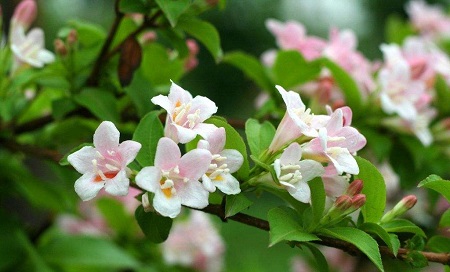 �����������辰�� ���Խ���������ֳ��������������