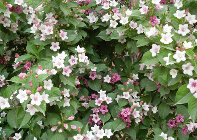 �����������辰�� ���Խ���������ֳ��������������