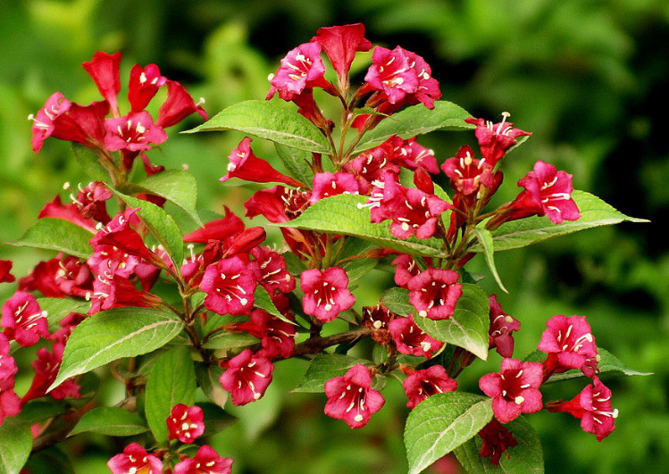 �����������辰�� ���Խ���������ֳ��������������