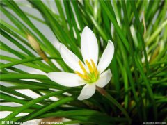 ��������ˮ���� ˮ���������ֳ����������Ŷ