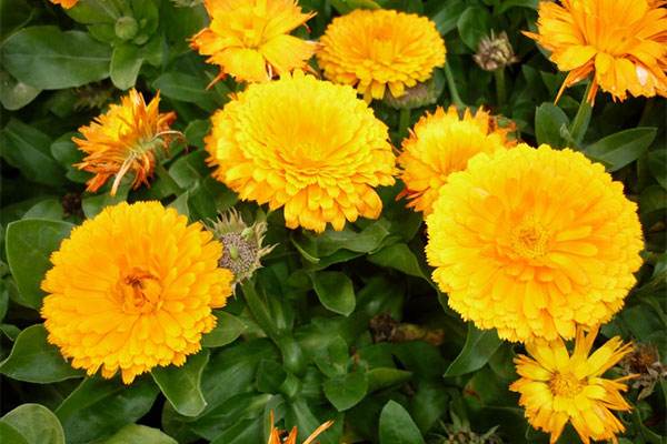 ��յ��������ϰ�����˽���� ��յ������ֳ����ȫ��������