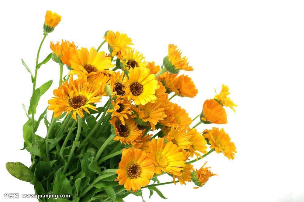 ��յ��������ϰ�����˽���� ��յ������ֳ����ȫ��������