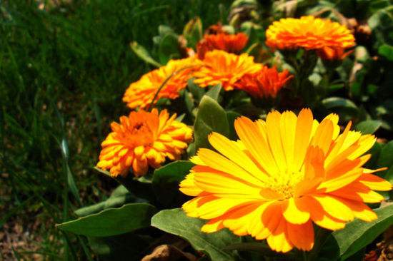 ��յ��������ϰ�����˽���� ��յ������ֳ����ȫ��������