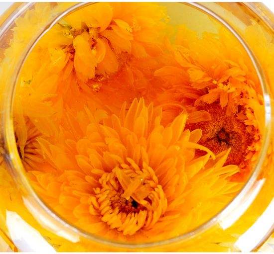 金盏花有什么功效和作用?没想到金盏花有这么多好处呀