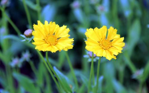 �𼦾յĹ�Ч����������Щ �󻨽𼦾յ���Ҫ��ֵ����������