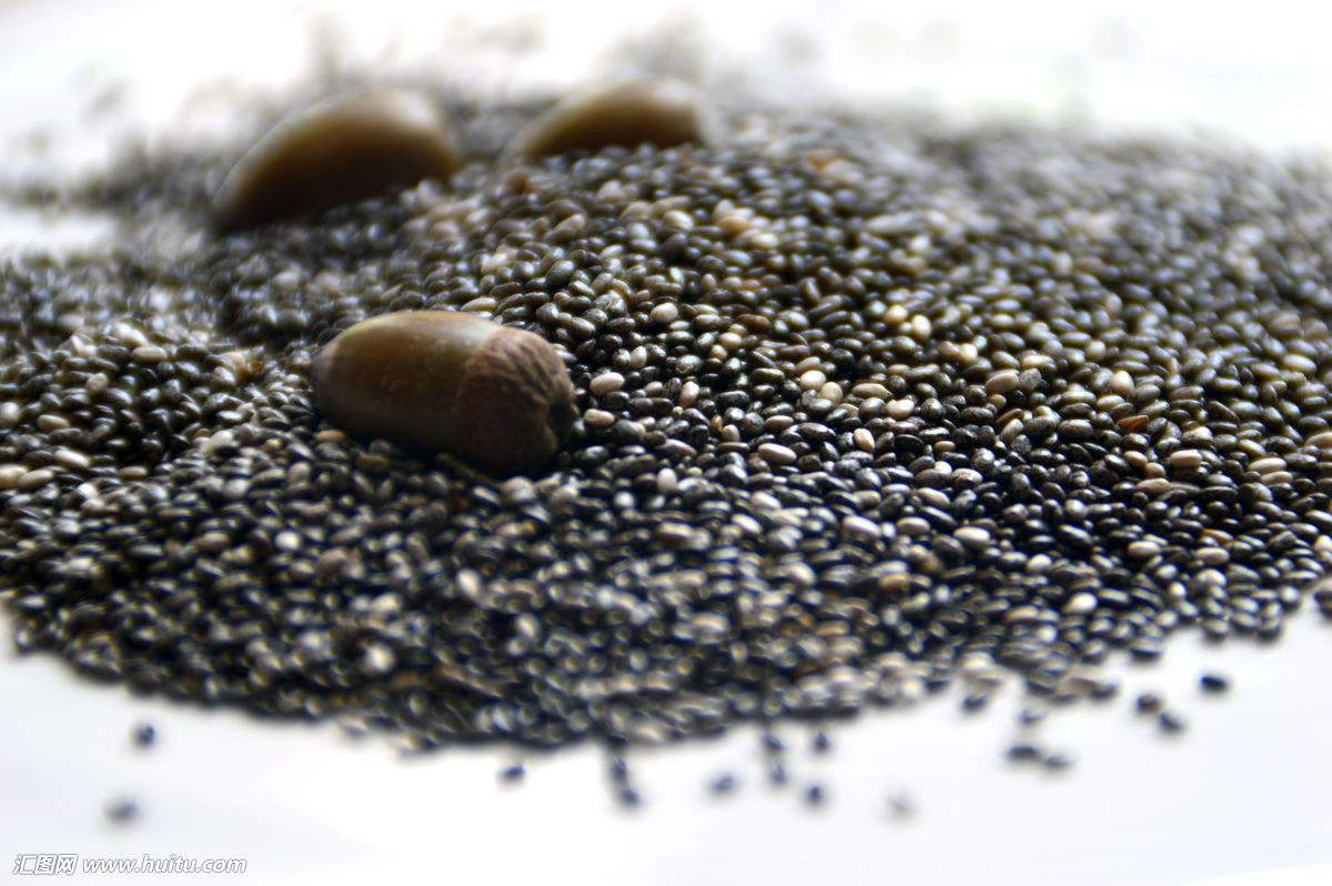 薄荷种子多久发芽你知道吗 手把手教你播种薄荷种子