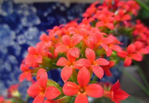 �������ж������ڼ����� û�뵽�������Ĺ�Ч��������ô��