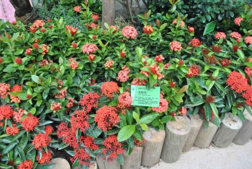 �������ж������ڼ����� û�뵽�������Ĺ�Ч��������ô��