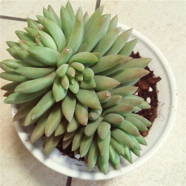 ����ǧ������ô��ͷ ǧ���ֵĿ�ͷ�������ɶ�������Ŷ