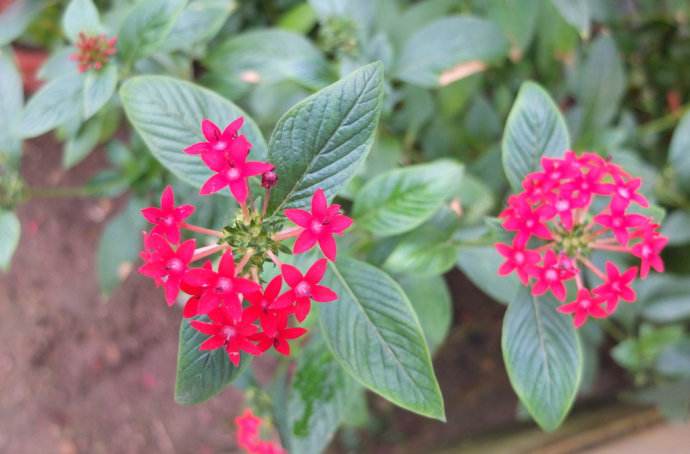 ���ǻ��Ļ�����ʲô  �벻�����ǻ�������ô�õ�Ԣ�Ⱑ