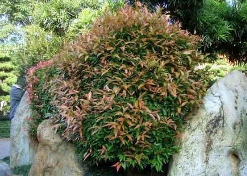 ��骺������ܹ����� ��������骹���������ȷ�ķ���