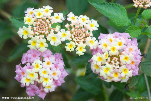 ��ӣ���ж���������������� ������ӣ����Ҫע��������Щ����