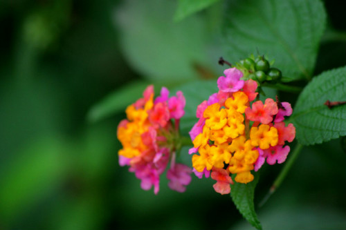 ��ӣ���ж���������������� ������ӣ����Ҫע��������Щ����