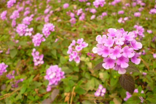 ��ӣ���ж���������������� ������ӣ����Ҫע��������Щ����