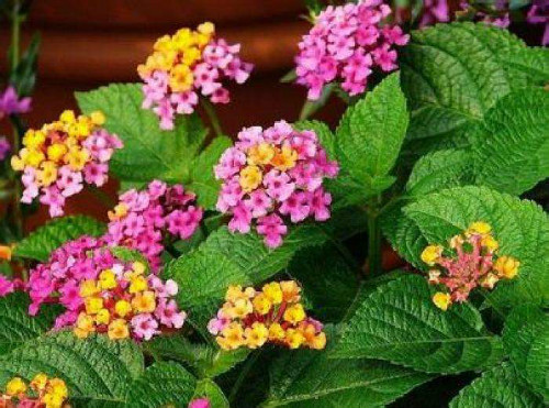 ��ӣ���ж���������������� ������ӣ����Ҫע��������Щ����