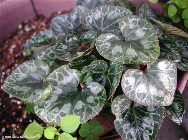 ����ǮҪ��ô���� ����ֲ�����Ǯ�������������ɽ���