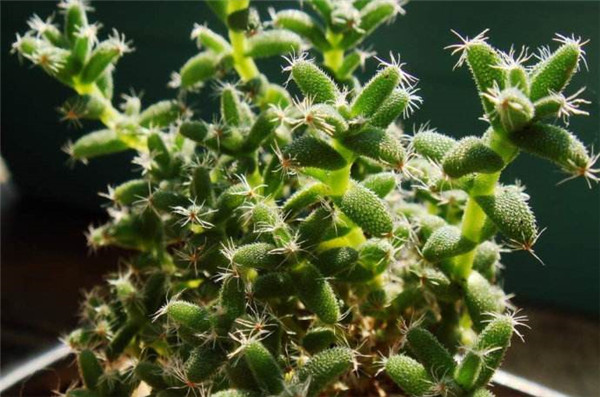 ����С����ô��ˮ ѧ�������С�ɽ�ˮ��ĺ���ҪŶ