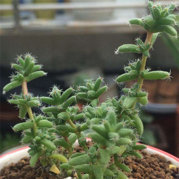 ����С����ô��ˮ ѧ�������С�ɽ�ˮ��ĺ���ҪŶ