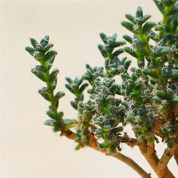 ����С����ô��ˮ ѧ�������С�ɽ�ˮ��ĺ���ҪŶ