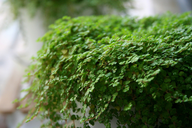 ����ݿ�����ˮ����  ����ݵĹ�Ч�����ÿ��治�ٰ�