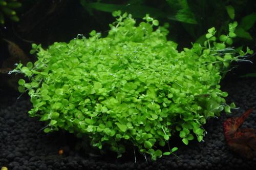 ����ݿ�����ˮ����  ����ݵĹ�Ч�����ÿ��治�ٰ�