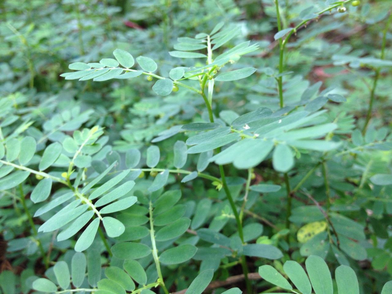 ����ݿ�����ˮ����  ����ݵĹ�Ч�����ÿ��治�ٰ�