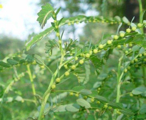 ����ݿ�����ˮ����  ����ݵĹ�Ч�����ÿ��治�ٰ�