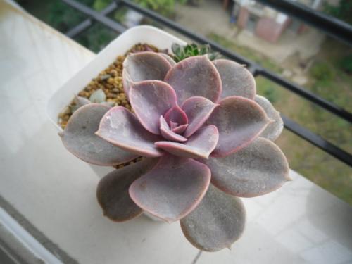 ��������ô������������ ��ô��������������԰�ȫ