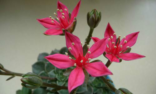 ������ʲôʱ�򿪻� ������������������ʵ����̫Ư����