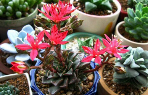 ������ʲôʱ�򿪻� ������������������ʵ����̫Ư����