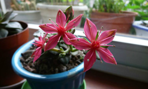 ������ʲôʱ�򿪻� ������������������ʵ����̫Ư����