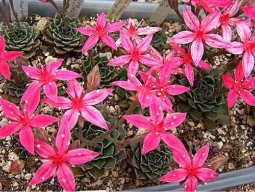 ������ʲôʱ�򿪻� ������������������ʵ����̫Ư����