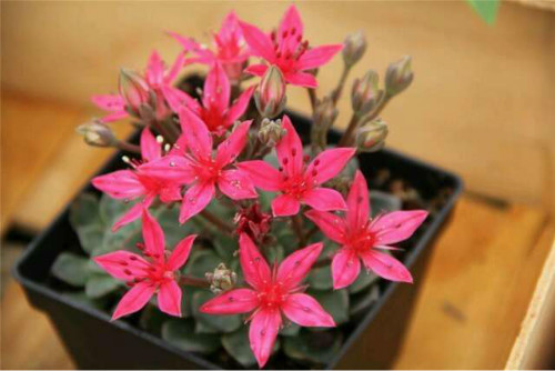 ������ʲôʱ�򿪻� ������������������ʵ����̫Ư����