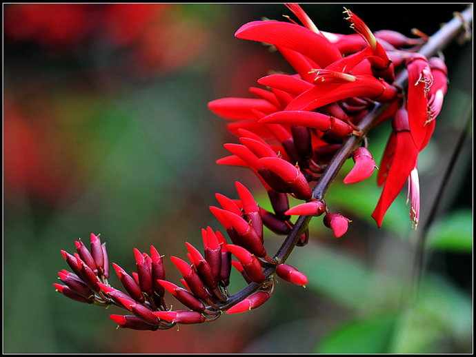 �������ж����Դ󲻴� ��ֳ��������Ҫע����������