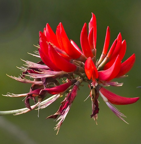 �������ж����Դ󲻴� ��ֳ��������Ҫע����������