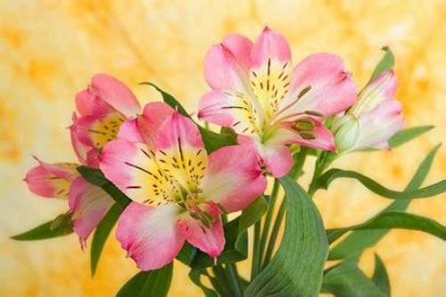 ��������ô�����ÿ� �������������������Ư����������