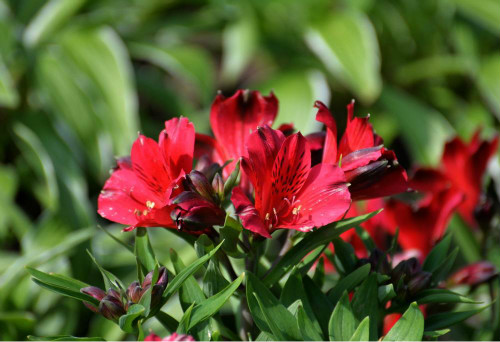 ������ʲôʱ�򿪻� �������Ļ�������������������Ŷ