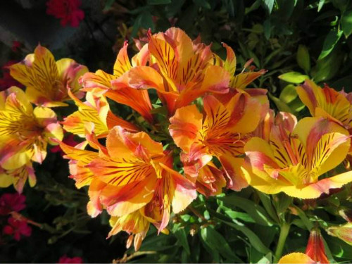 ������ʲôʱ�򿪻� �������Ļ�������������������Ŷ