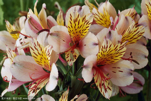 ������ʲôʱ�򿪻� �������Ļ�������������������Ŷ