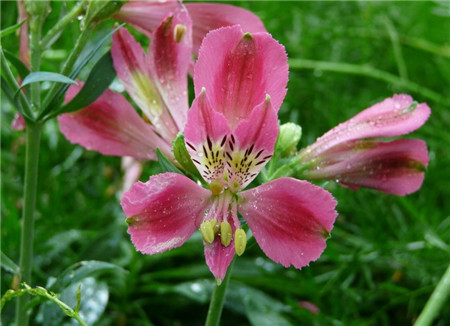 �������Ļ��ж����� ����������������ע���������