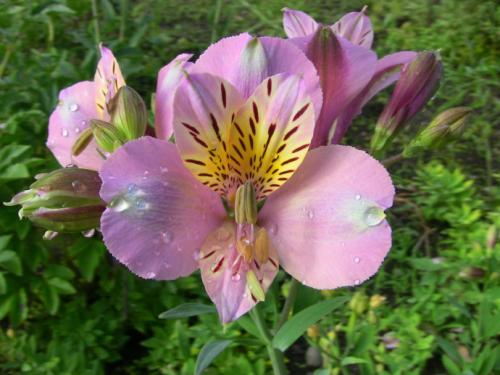 �������Ļ��ж����� ����������������ע���������